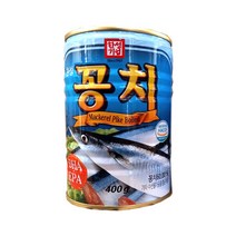 (무)한성 꽁치캔400gX10개, 10개, 400g