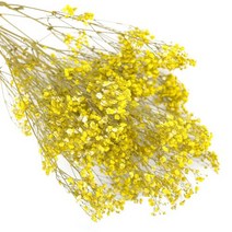 안개꽃 드라이플라워 노랑 한다발