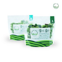 4봉 세트(100gx4봉) 루꼴라샐러드 type A + 라디치오샐러드 type B 매일매일 신선한 샐러드습관, 타입A(루꼴라)2봉+타입B(라디치오)2봉