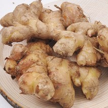 산지직송 충남 서산 전영운님의 햇 토종생강 3kg, 단품없음