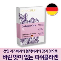저분자 피쉬 콜라겐 큐브 비리지않은 독일 피시콜라겐 식이섬유 구연산 칼슘 무화과 페이스트 이소말트 라즈베리맛 블랙베리맛 어류콜라겐 큐브 12일분