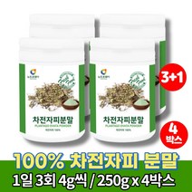 100% 차전자피 분말 주스 어린이 식이섬유 가루 파우더 자전피 차전피차 섬유소 약국차전자피 차전자 질경이씨 차전자푸, 4박스