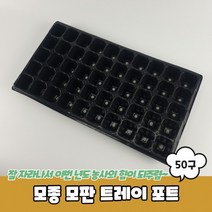 모판 육묘상자 육묘트레이 모종 포트 50구 트레이 모종트레이 모종판, 상세페이지 참조