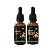 [유비바이오] 프로폴리스 팅쳐 30ml, 2