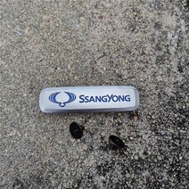 자동차 바닥 매트 금속 엠블럼 쌍용 액티언 카이론 코란도 스타빅 렉스턴 스포츠 무쏘 로디우스 XIV-2 자동차 카펫 엠블럼 스티커, 1pcs for ssangyong
