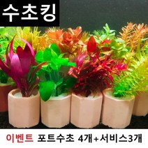 [수초킹 서비스증정] 키우기 쉬운 포트수초랜덤 초보수초 구피 새우 은신처, 1개