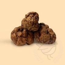 새임 동결건조 마따따비 열매 고양이캣닢장난감 고양이이갈이장난감 캣닢