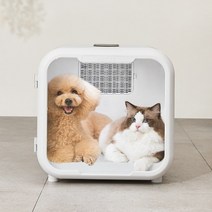 펫드라이룸 강아지 털말리기 애견 고양이 강아지탈수기 건조기, 애견 건조기 (표준)