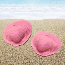 조개 화석 만들기 (6인용)