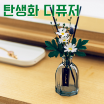 탄생화 디퓨저 선물세트 3월 탄생화 데이지 남자친구 여자친구 남사친 여사친 언니 선생님 직장동료 생일선물 집들이선물 실내 디퓨저 실내방향제 디퓨저, 청포도, 500ml