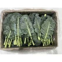 케일 2kg, 1개