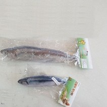 고양이 장난감 꽁치(20cm), 8개