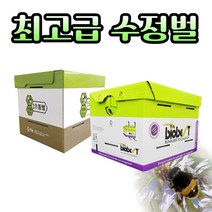 농사친구 수정벌 1통 수입 호박벌 뒤영벌 으뜸벌, 국산벌 1통(60~80), 1개