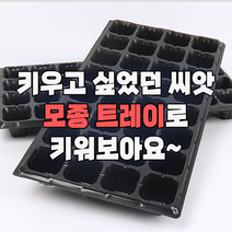 모종판 트레이 씨앗 32구 72구 105구 128구 포트 발아, 1개