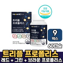 식약처 인증 프리미엄 레드 그린 브라운 푸로폴리스 트리플 프로폴리스 식물성 캡슐 츄어블 추어블 타입 영양제, 9박스, 트리플프로폴리스 x 60캡슐