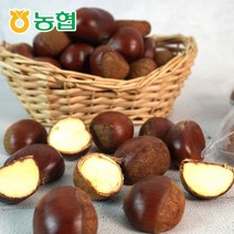 순창군조합공동사업법인 [농협] 순창 속이 꽉찬 햇 알밤 특 1kg, 1