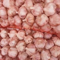 2022년 창녕 햇마늘 특대 5kg 출시 난지형 산지직송 햇양파 통마늘 산지직송 흑마늘용 요리용 김장용 국내산, 22년 햇마늘5kg 22년 햇양파5kg