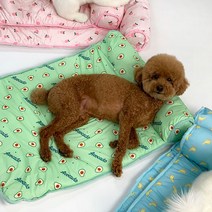 유앤펫 강아지 고양이 바디소프트 쿨방석 L(null), 바나나