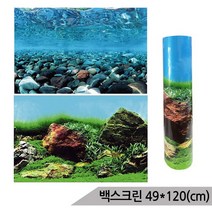 브랜드없음 백스크린 양면 49X120cm 수족관배경 어항배경 C525550, 단품없음