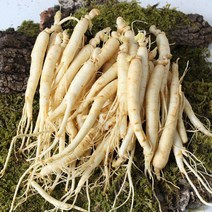 친환경팔도 금산 황금농장 삼계탕갈비탕용 인삼 750g 잔소중 인삼/한차재료>>인삼, (중)750g/30-40뿌리내외” class=”wr-img”></a></div>
</div>
</div>
</div>
<div class=
