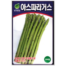 아스파라거스 200립, 상세 설명 참조