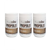 Healthfarm MSM powder 헬스팜 뉴질랜드 식이유황 소나무추출 엠에스엠 파우더 300g 3팩
