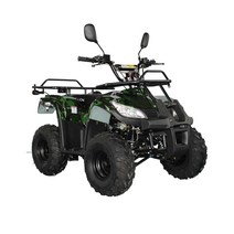 4륜바이크 ATV 산악 농업용 오토바이 오프로드 쿼드 바이크 110cc atv 스포츠 4 휠 90cc