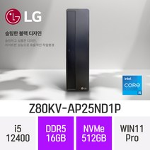 LG 슬림 데스크탑 Z80KV-AP25ND1P *CPU i5-13400 무상업그레이드 출고*, 512GB, 16GB, WIN11 Pro