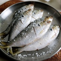 삼천포 자연산 전어 1kg 15미 내외 구이용