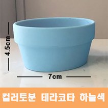 컬러 토분(하늘색) 화분 미니토분 다육이 테라코타[지름7cmX높이4.5cm] 수입도매