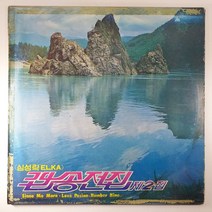 (중고LP) 심성락 ELKA 팝송전집 제2집 1980년 발매 (자켓 테이핑 제거 자국. 음반 상태 A. 상태 좋음)