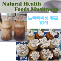 느타리버섯 키우기 배지 키트 10개 종균 뱃지 베지 친환경 무농약 집에서 학교 유치원 관공서 복지관 식당 사무실 재배 반려식물 플랜테리어 추천