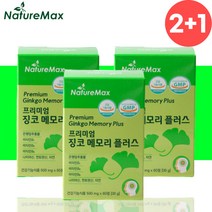 징코 기억력 혈행 면역 은행잎 추출물 영양제 약6개월분