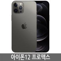 Apple 아이폰 12 Pro 자급제, 그래파이트, 512GB