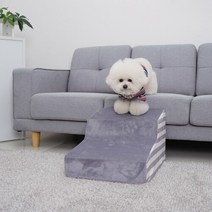 개과천선 슬로프 강아지 고양이 펫스텝
