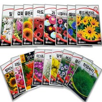 꽃 씨앗 허브씨 사계절 다년생 꽃씨 야생화 종자 씨앗 200여종, 01_68.양귀비