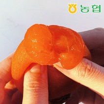 [농협] 자연건조 장성 대봉 반건시 곶감 특품 50입, 단품