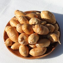 슈퍼 아피오스 인디언감자 인디안감자 3kg 5kg 10kg, 아피오스감자 3kg