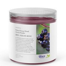 신서리티 폴란드 아로니아 파우더 100g, 1개