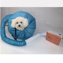 이퍼피 가정용 펫 드라이룸 소형견 고양이 반려동물 미용, 블루, 02