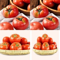 이지리치 완숙 토마토 2.5KG 3번 쥬스용토마토 국내산 완숙 토마토