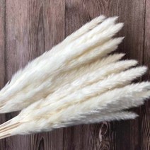 30 개길이 40-43 센치메터 진짜 말린 천연 잔디 갈대 꽃 마른 작은 bulrush 꽃다발 팜파스 갈대 가정 장식 웨딩 장식, 5-30개