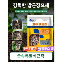 뿌리내리고 튼튼한 묘목 전용 비료 이식 절단 녹식 화훼 강력 채소 비료, 30gx5봉지
