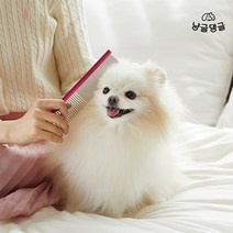 냥글댕글 반려동물 알루미늄 듀얼 스트레이트 브러쉬 K10 _ 강아지 고양이 죽은털제거, 1개, 냥글댕글 스트레이트 브러쉬_로즈레드