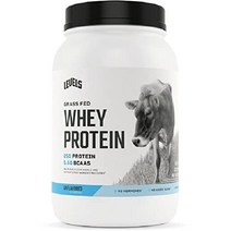 레벨 잔디 먹이 100 유청 단백질 무호르몬 더블 초콜릿 1LB, 2파운드(1팩), 무향