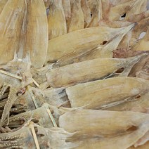포항마트 특품 동백 건오징어 10마리 약400g / 마른오징어 말린오징어 완전건조오징어 포항오징어 구룡포오징어, 약400g_완전건조10마리