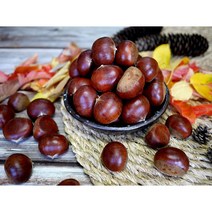 옥광밤/임금님 진상밤/1kg 2kg 4kg, 옥광(대)1kg, 1개