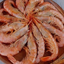 부산창고 - 육십간지 랍스타 킹 단새우 2kg