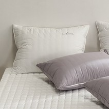 샤이닝홈 하이 샤르르 포엠 케어 베개커버 50x70