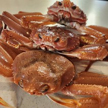 준박달대게 대 1미 9.6-10cm 수율70％이상 마리당 대략 450-550g